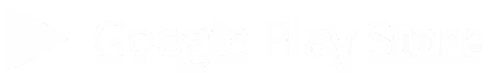 Google Play Store Logo